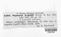 Septoria lepidii image